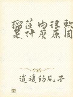 榴莲肉很软很稀是什么原因