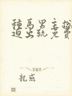 种马男主总是被迫出轨免费阅读