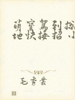 萌宝驾到总裁爹地快接招 小说