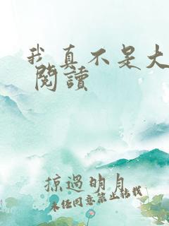 我真不是大反派 阅读