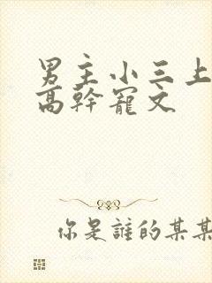男主小三上位的高干宠文
