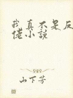 我真不是反派大佬小说