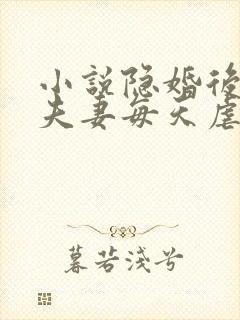 小说隐婚后大佬夫妻每天虐渣撒糖免费阅读