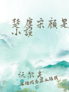 楚尘宋颜是哪本小说