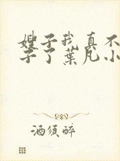 嫂子我真不是傻子了叶凡小说最新章节精校版