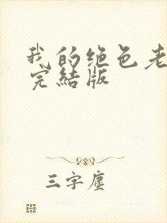 我的绝色老板娘完结版