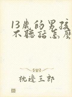 13岁的男孩子不听话怎么管教