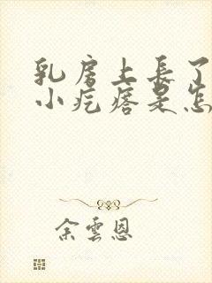 乳房上长了很多小疙瘩是怎么回事