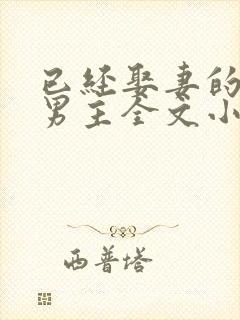 已经娶妻的失忆男主全文小说