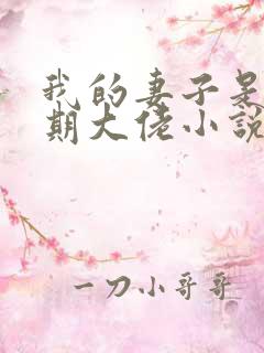 我的妻子是大乘期大佬小说完整版本