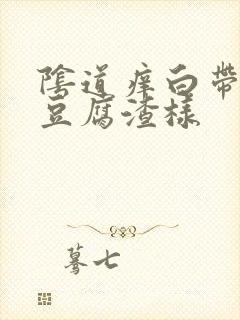 阴道痒白带发黄豆腐渣样