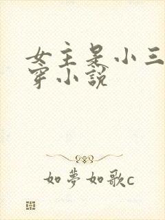 女主是小三的快穿小说