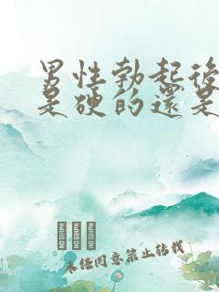 男性勃起后龟头是硬的还是软的