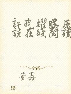 许我耀眼原著小说在线阅读