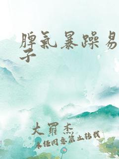 脾气暴躁易怒孩子