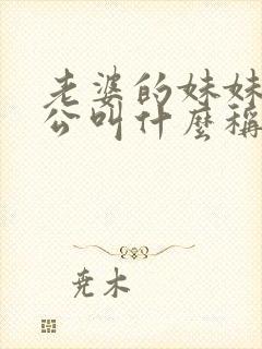 老婆的妹妹的老公叫什么称呼