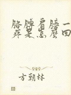 胳膊肩膀一动就疼是怎么回事