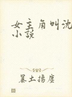 女主角叫沈姒的小说