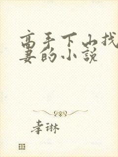 高手下山找未婚妻的小说