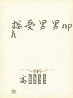 总受男男np高h
