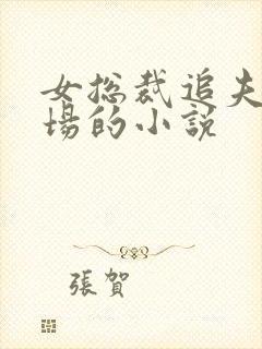 女总裁追夫火葬场的小说