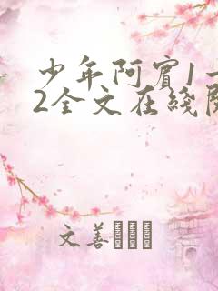 少年阿宾1一72全文在线阅读