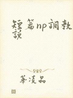 短篇np调教小说