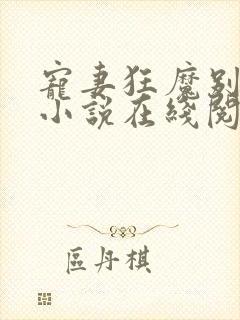 宠妻狂魔别太坏小说在线阅读