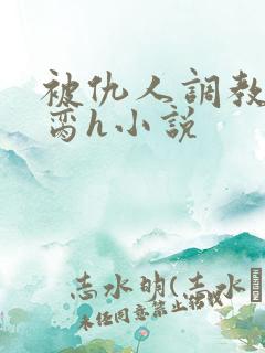 被仇人调教成禁脔h小说