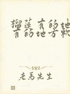 榴莲有的地方硬有的地方软是没熟吗