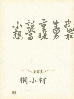 小说重生我真没想当暖男最新章节