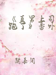 《直男上司带球跑了》番外免费阅读