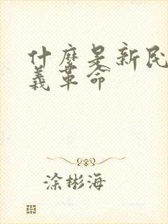 什么是新民主主义革命