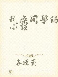 我操同学的妈妈小说