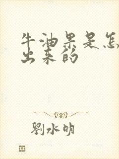 牛油果是怎么长出来的