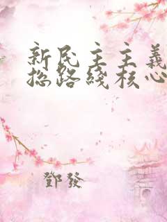 新民主主义革命总路线核心