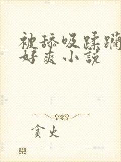 被舔吸蹂躏大奶好爽小说