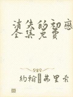 消失的初恋日剧全集免费