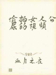 偷拍女人公厕尿尿的视频