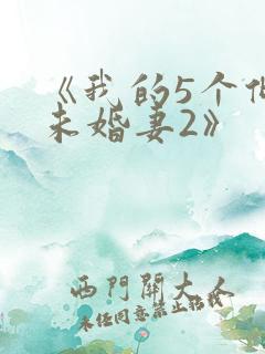 《我的5个倾城未婚妻2》