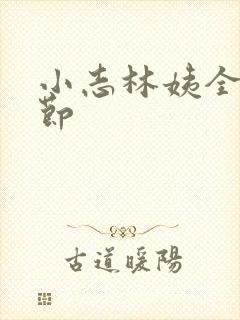 小志林姨全部章节