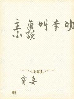 主角叫李明辉的小说