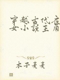 穿越古代夜御两女小说主角