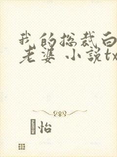 我的总裁白富美老婆 小说txt下载