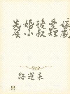 先婚后爱嫁给闺蜜小叔短剧