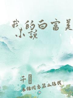 我的白富美老婆 小说