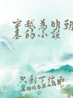 穿越为明朝朱瞻基的小说