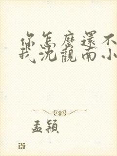 你怎么还不来哄我沈观南小说免费阅读