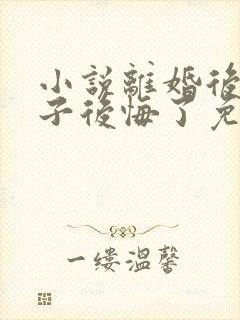 小说离婚后,妻子后悔了免费阅读