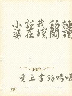 小说我的极品老婆在线阅读全文